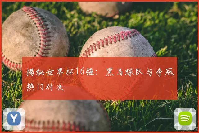 揭秘世界杯16强：黑马球队与夺冠热门对决